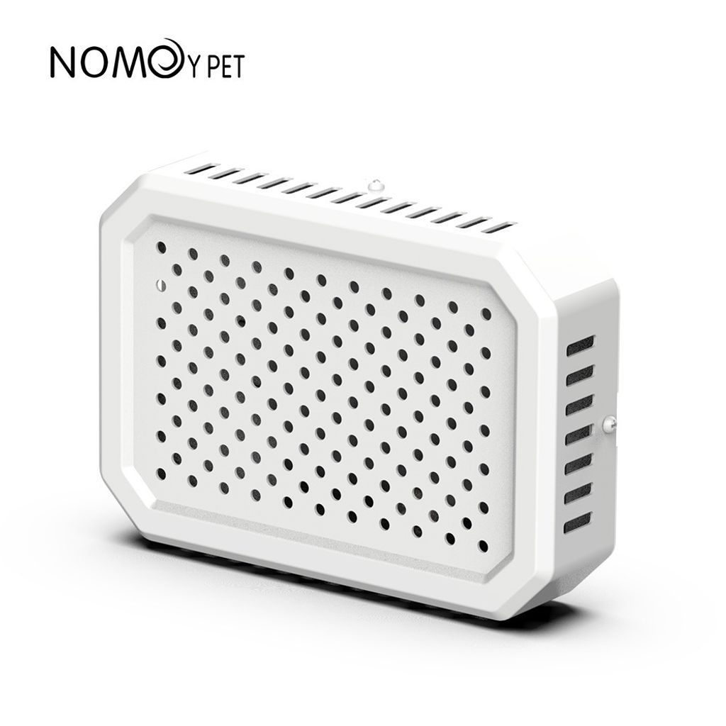 tw-11134207-81zth-mhfzqzzvlmgz7a