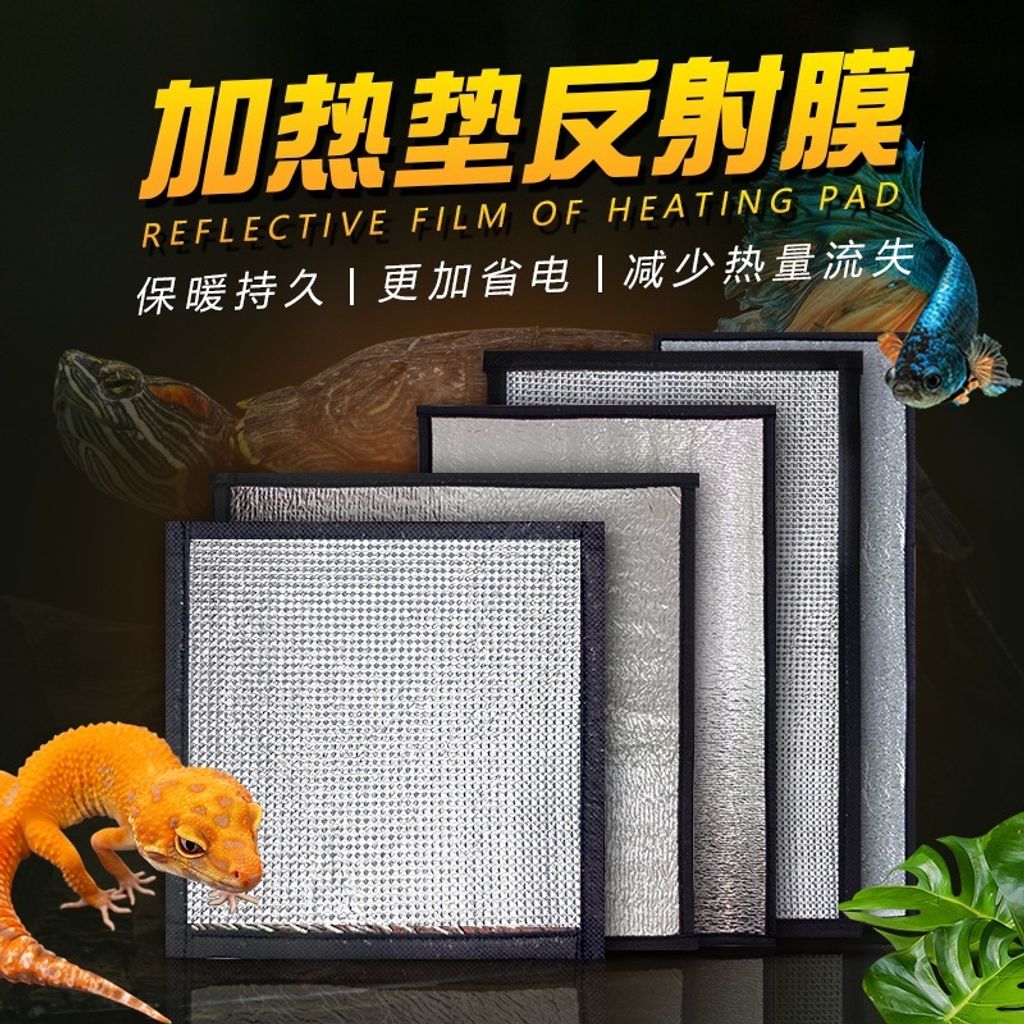 tw-11134207-81zte-mibqu0lbxw5jac