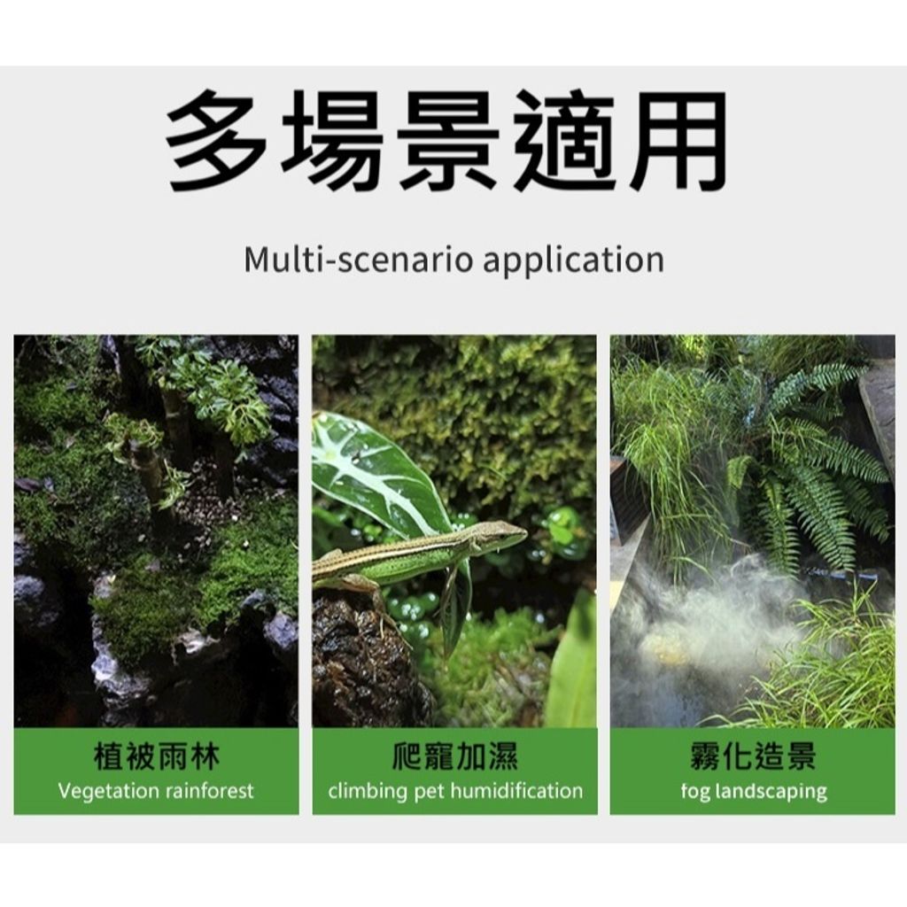 tw-11134207-81ztm-mibsfze288oyb5