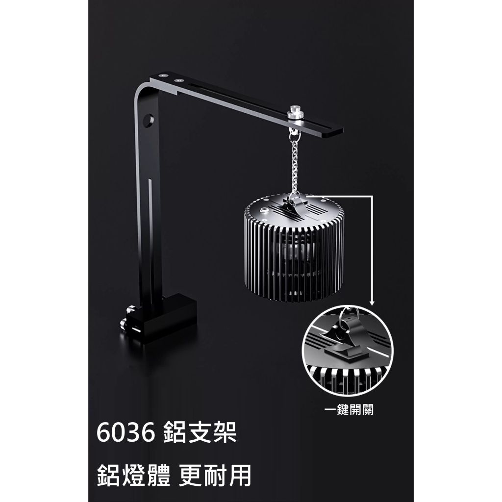 tw-11134207-81ztj-miiok3c078qv5e