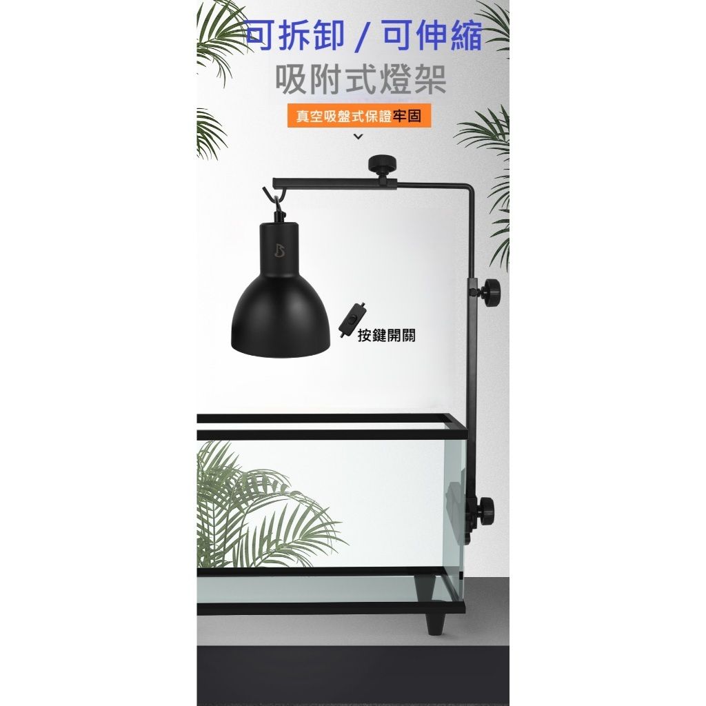 tw-11134207-81ztj-mik8hmb55vk2e1