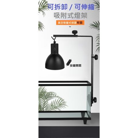 tw-11134207-81ztj-mik8hmb55vk2e1