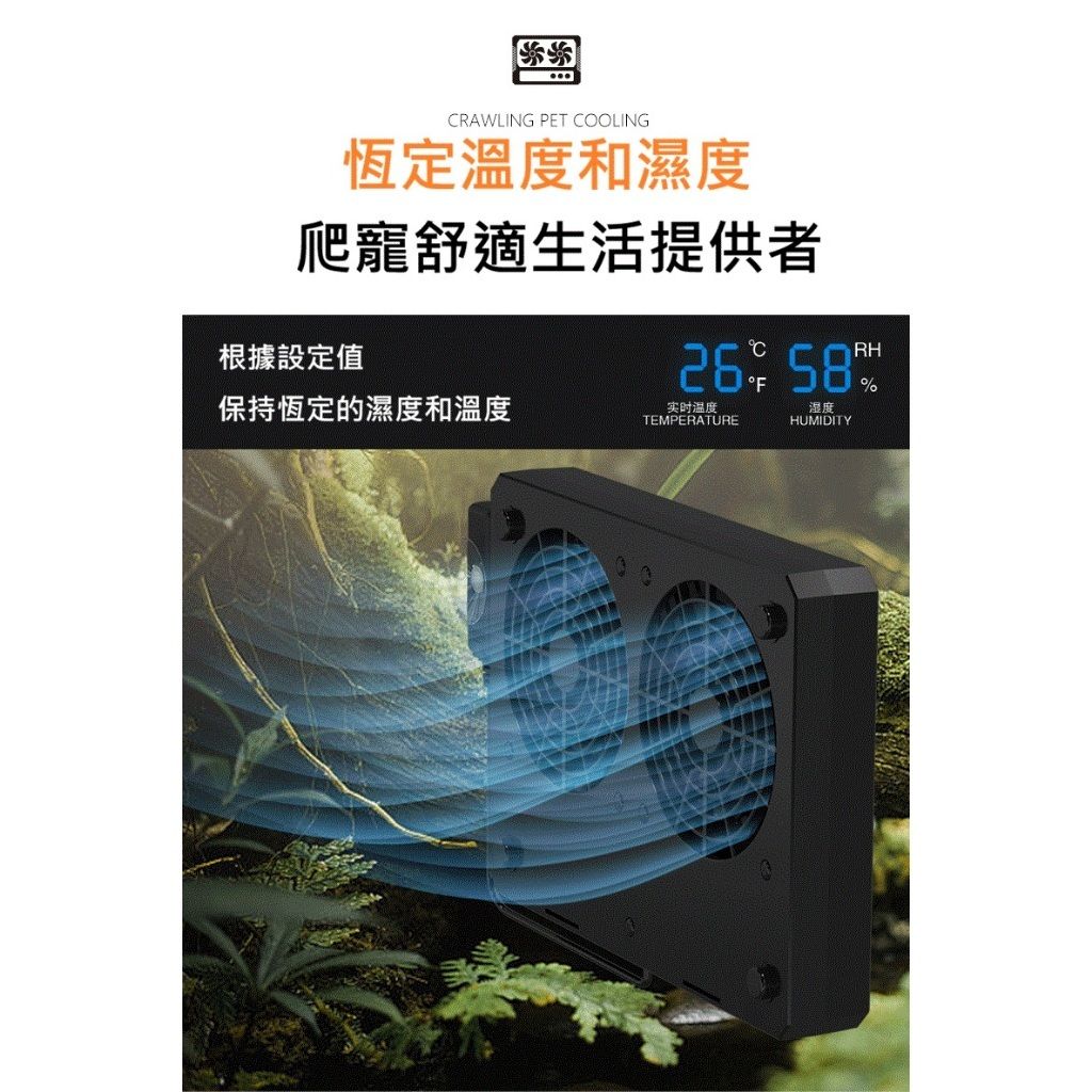 tw-11134207-81ztg-mikaq6p4kjk095