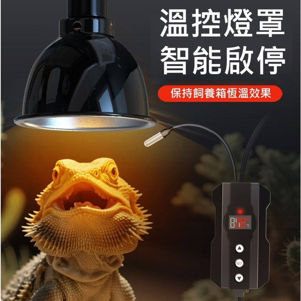 tw-11134207-81ztq-mik95vml95ac42