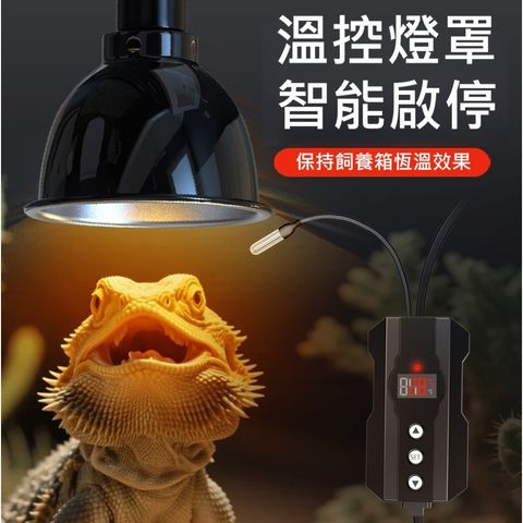 tw-11134207-81ztq-mik95vml95ac42