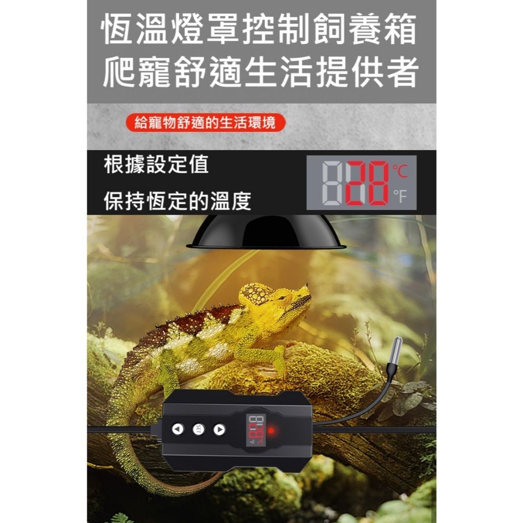 tw-11134207-81ztf-mik95vmj6p6p2f