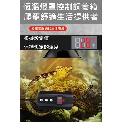 tw-11134207-81ztf-mik95vmj6p6p2f