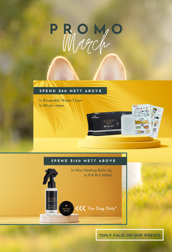  | For Furry Friends Pte Ltd