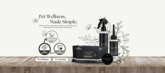  | For Furry Friends Pte Ltd