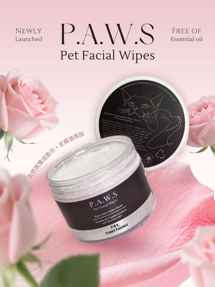 Facial Wipes Long 1