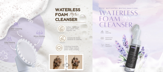  | For Furry Friends Pte Ltd