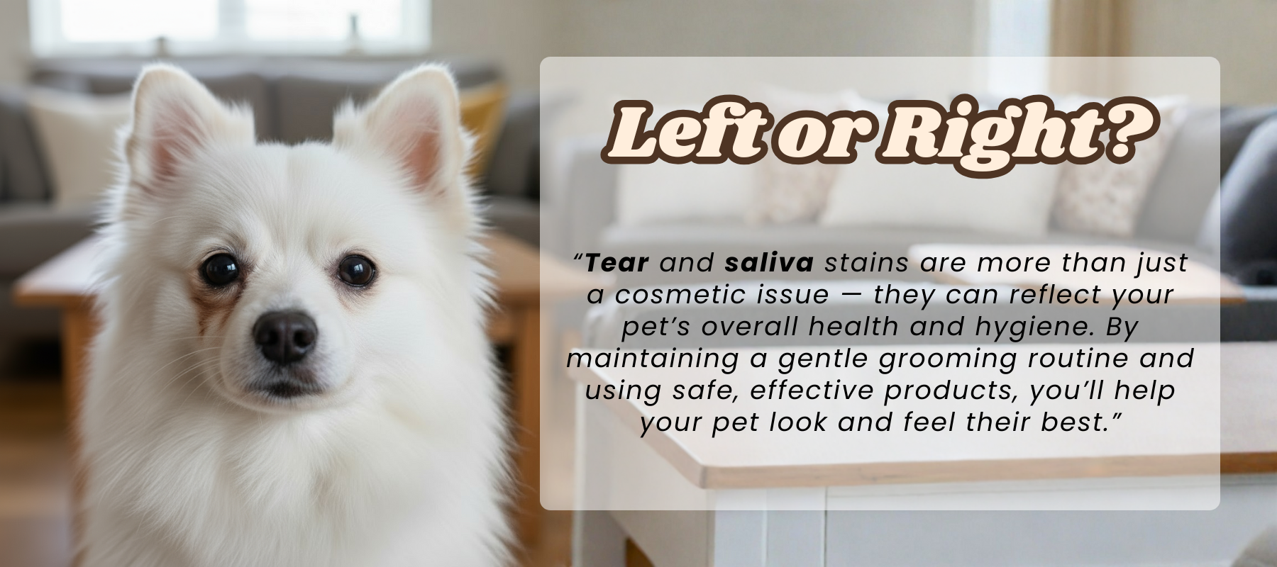 5 Things To Do, For A Clean & Stain Free Face!