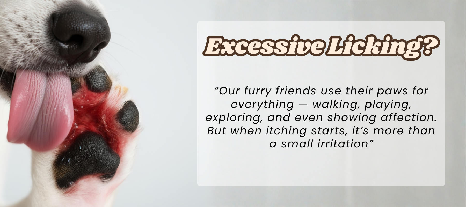 7 Things to Avoid for an Itch-Free Paw