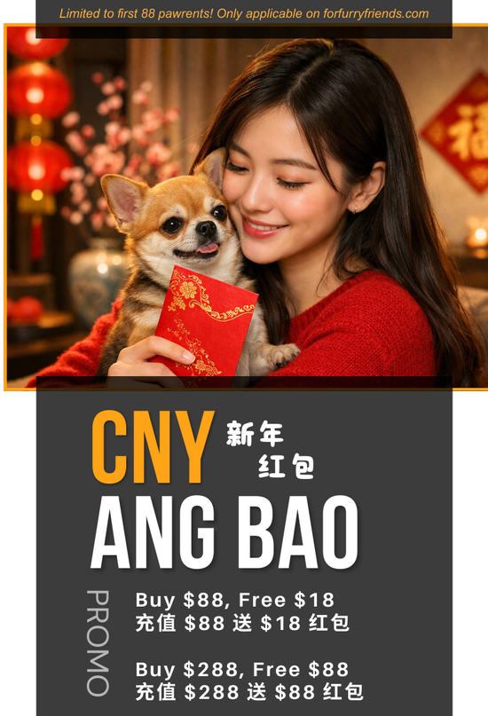  | For Furry Friends Pte Ltd