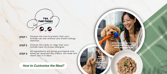  | For Furry Friends Pte Ltd
