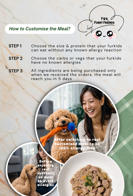  | For Furry Friends Pte Ltd