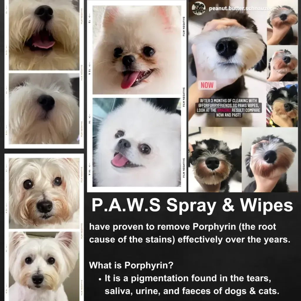 saliva and tear stains removal