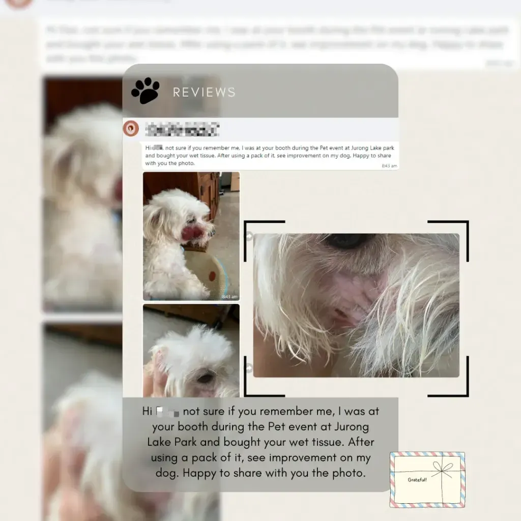 help clean our furkids up without allergy reactions