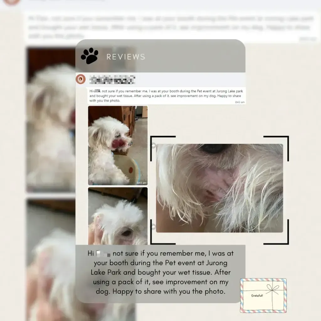 help clean our furkids up without allergy reactions
