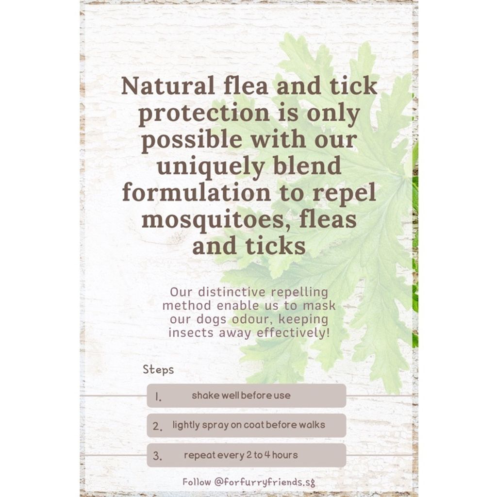 Natural Flea & Tick Repellent Spray