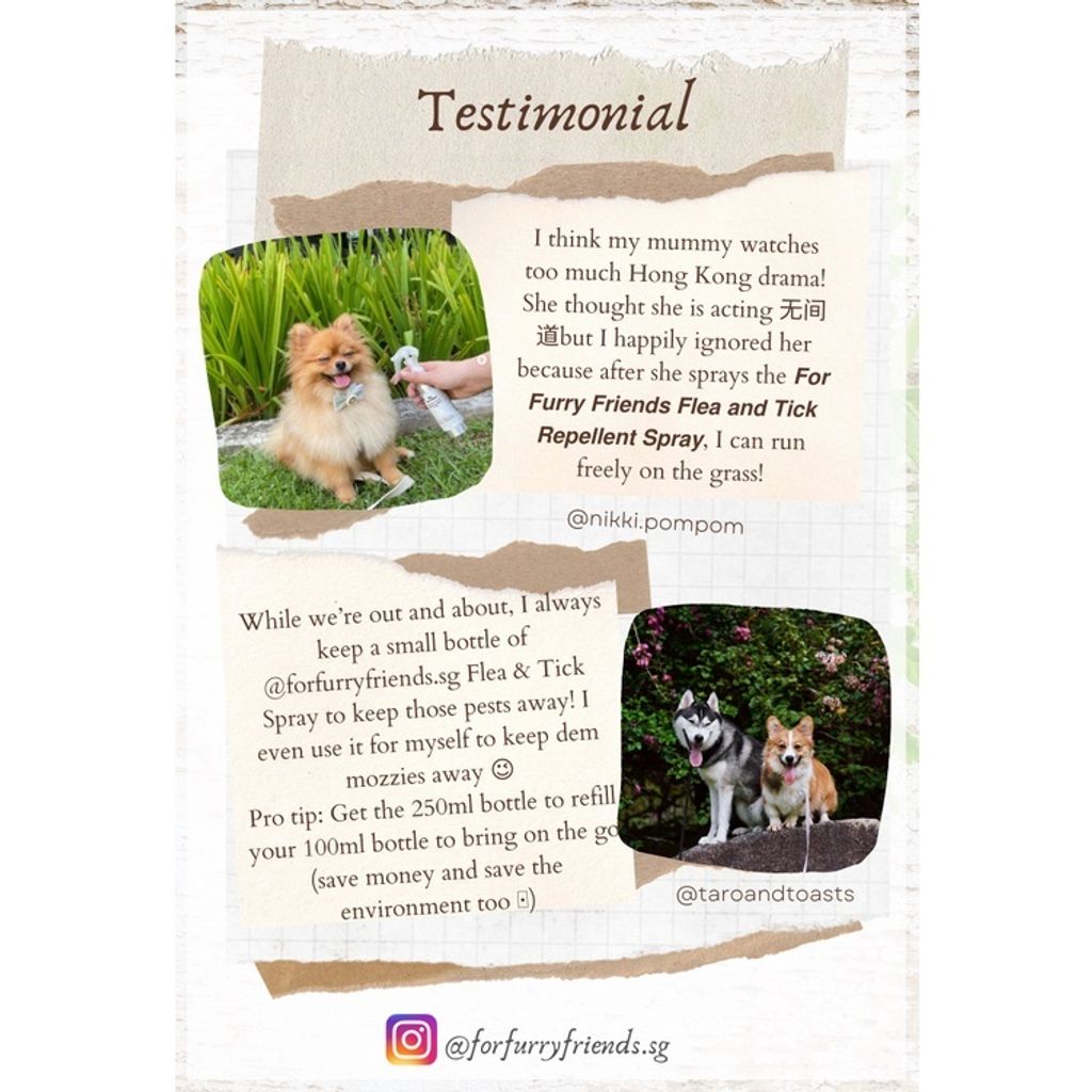 Flea & Tick Repellent Spray Testimonial