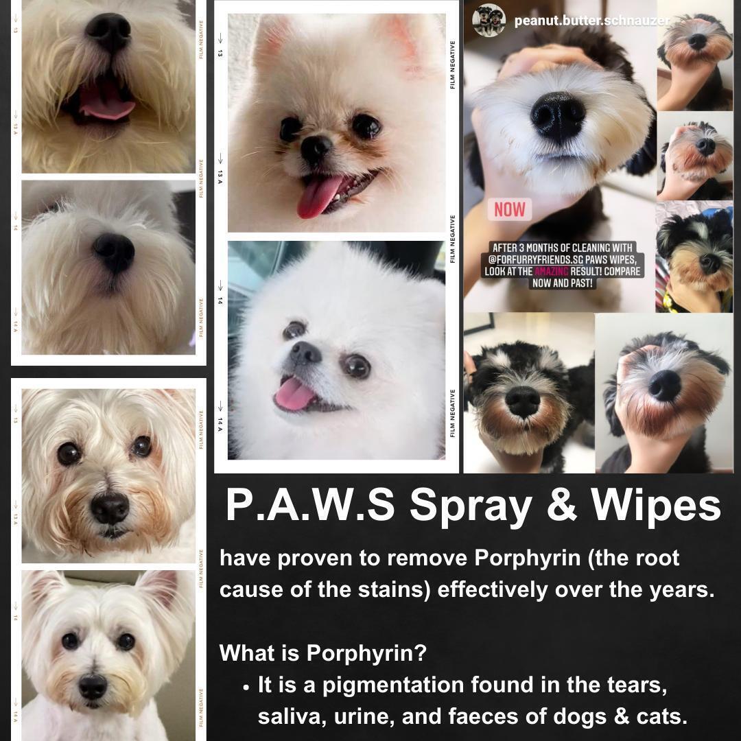 a40b0762677e4783b72e87c2ca354866~tplv-aphluv4xwc-origin-jpeg