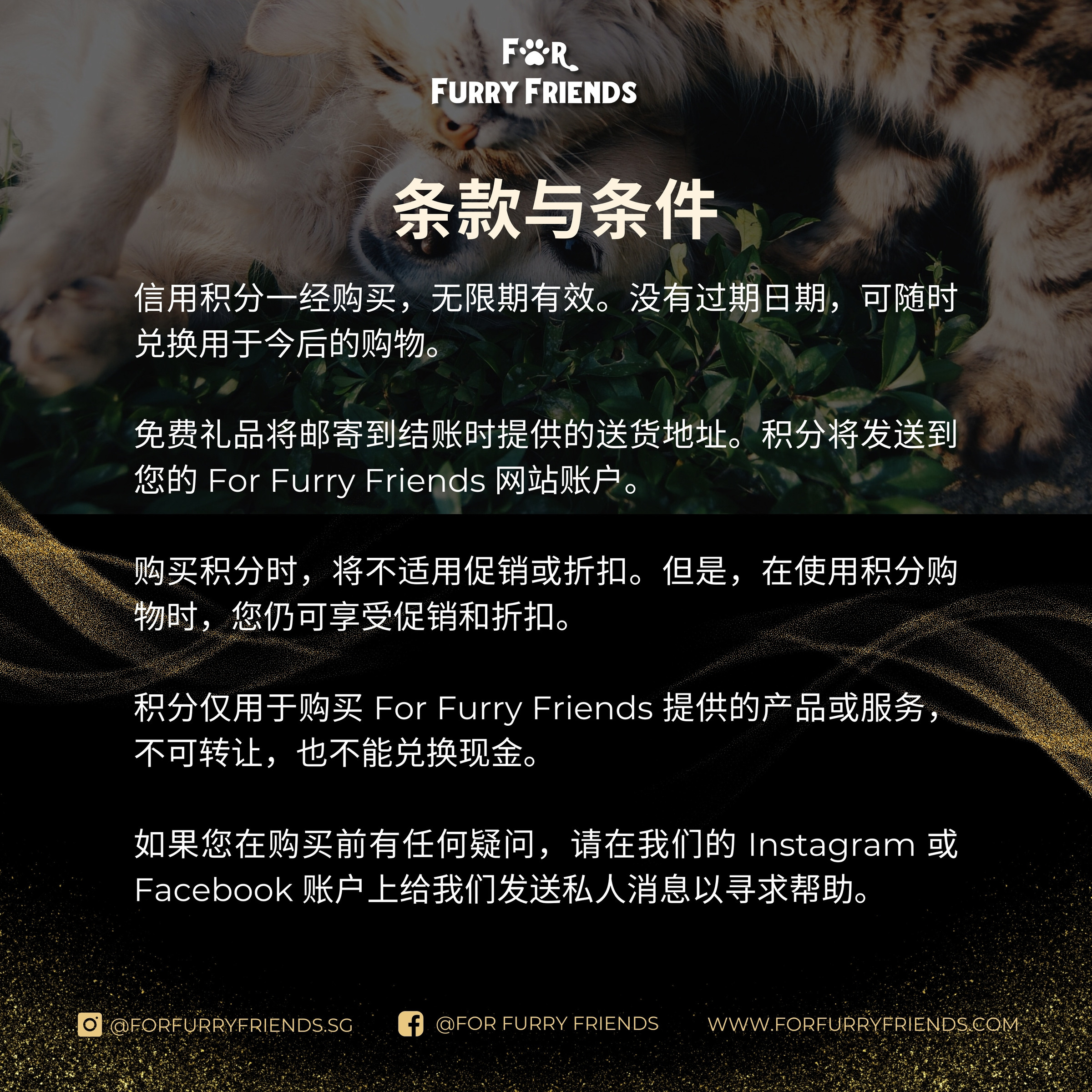 chinese tnc