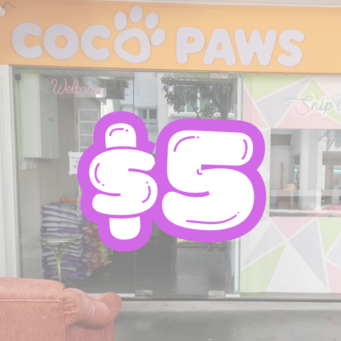 Coco Paws