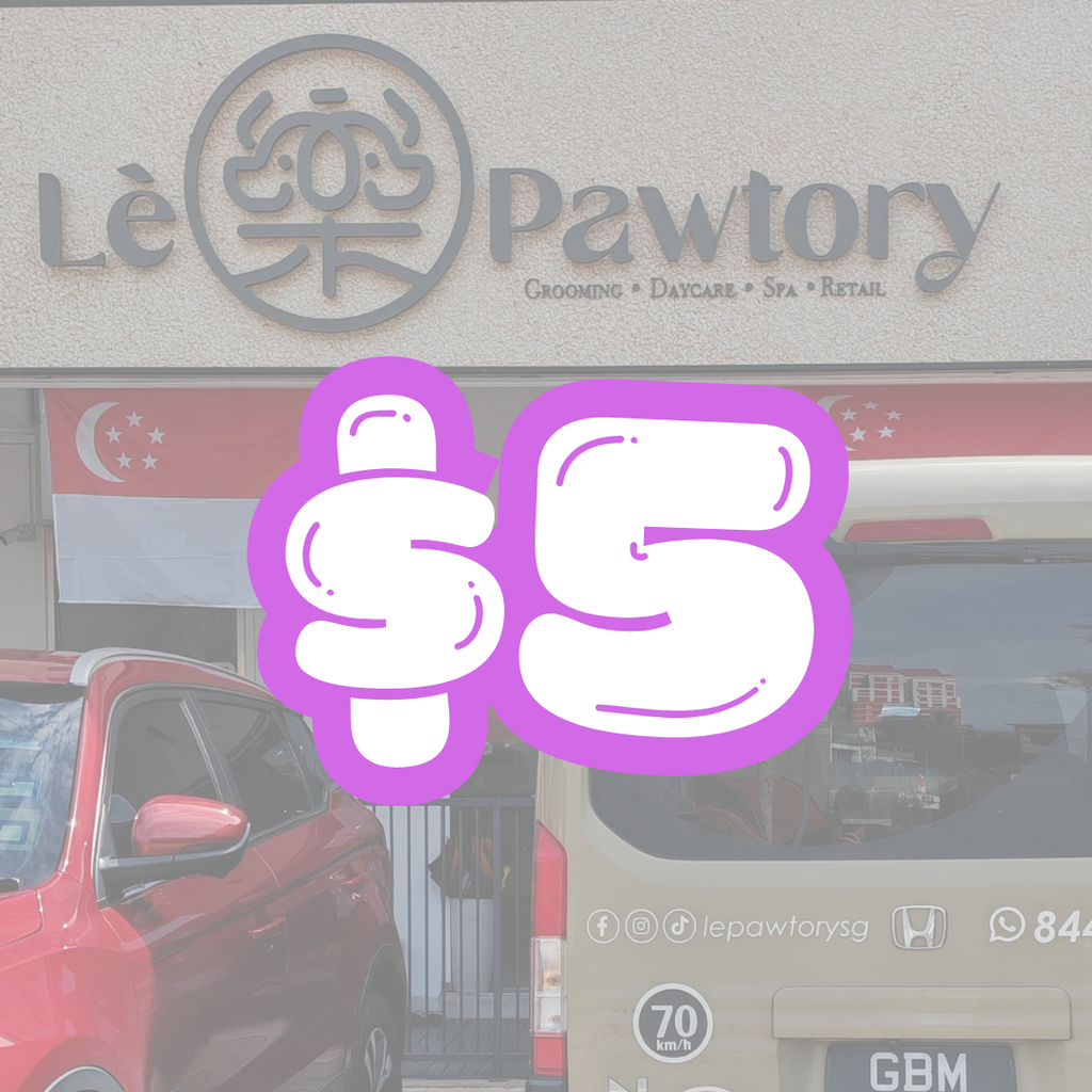 Lepawtory