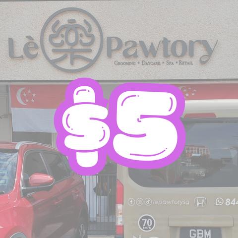 Lepawtory
