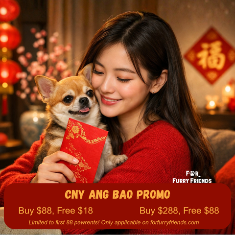 CNY PROMO_20260112_204856_0000