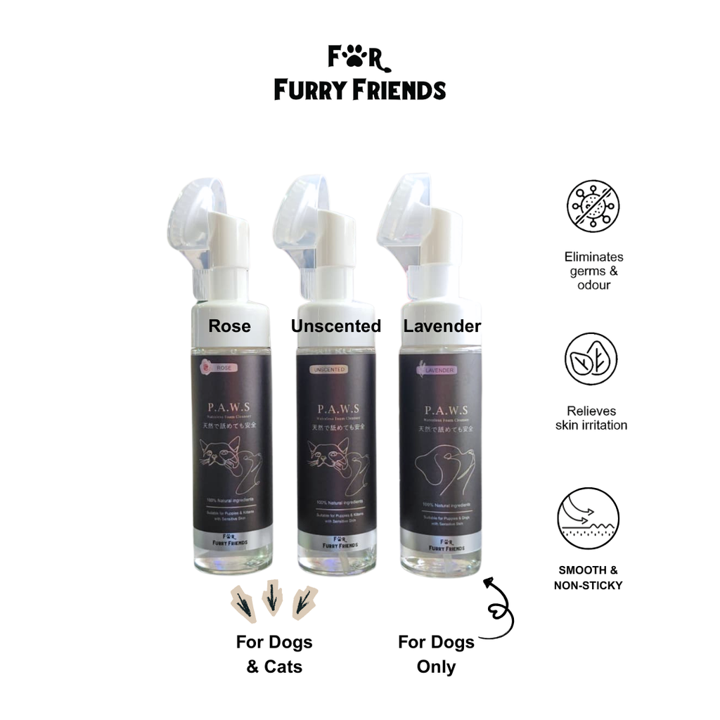 P.A.W.S Waterless Foam Cleanser -Main 