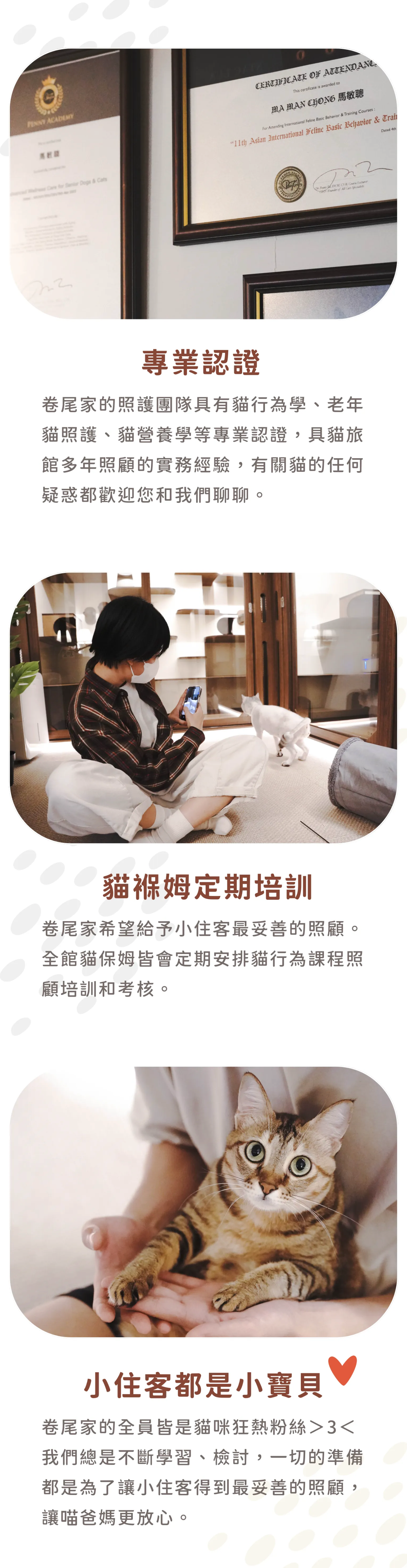 專業團隊