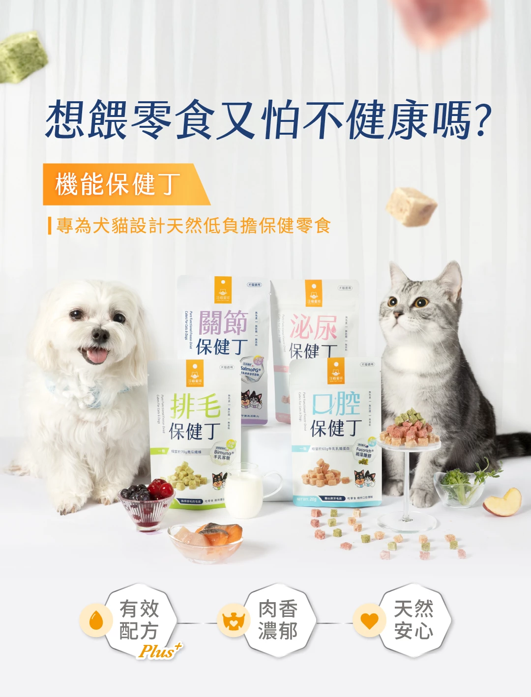 Functional-health-care_M2-1