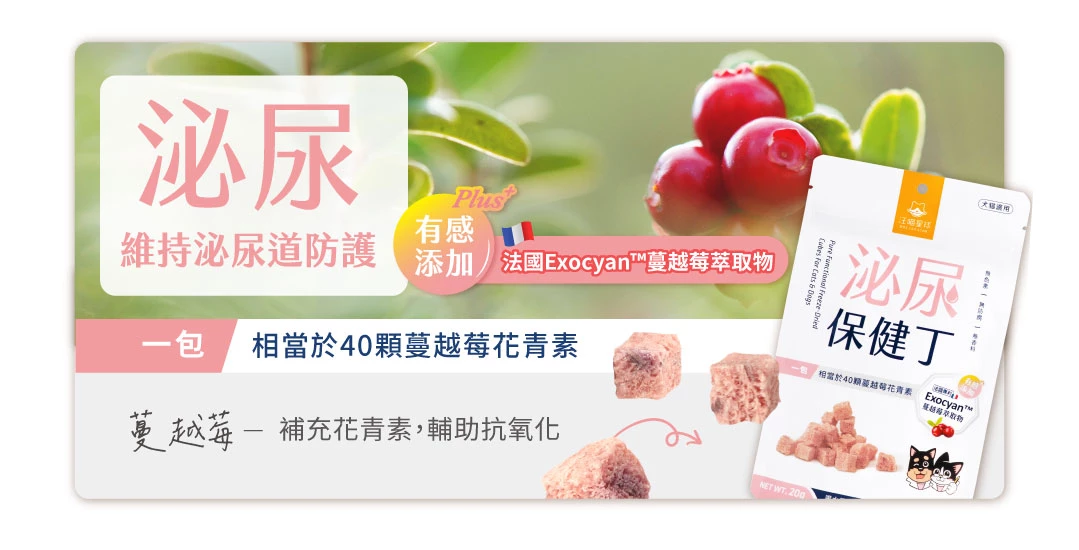 Functional-health-care_M73-1