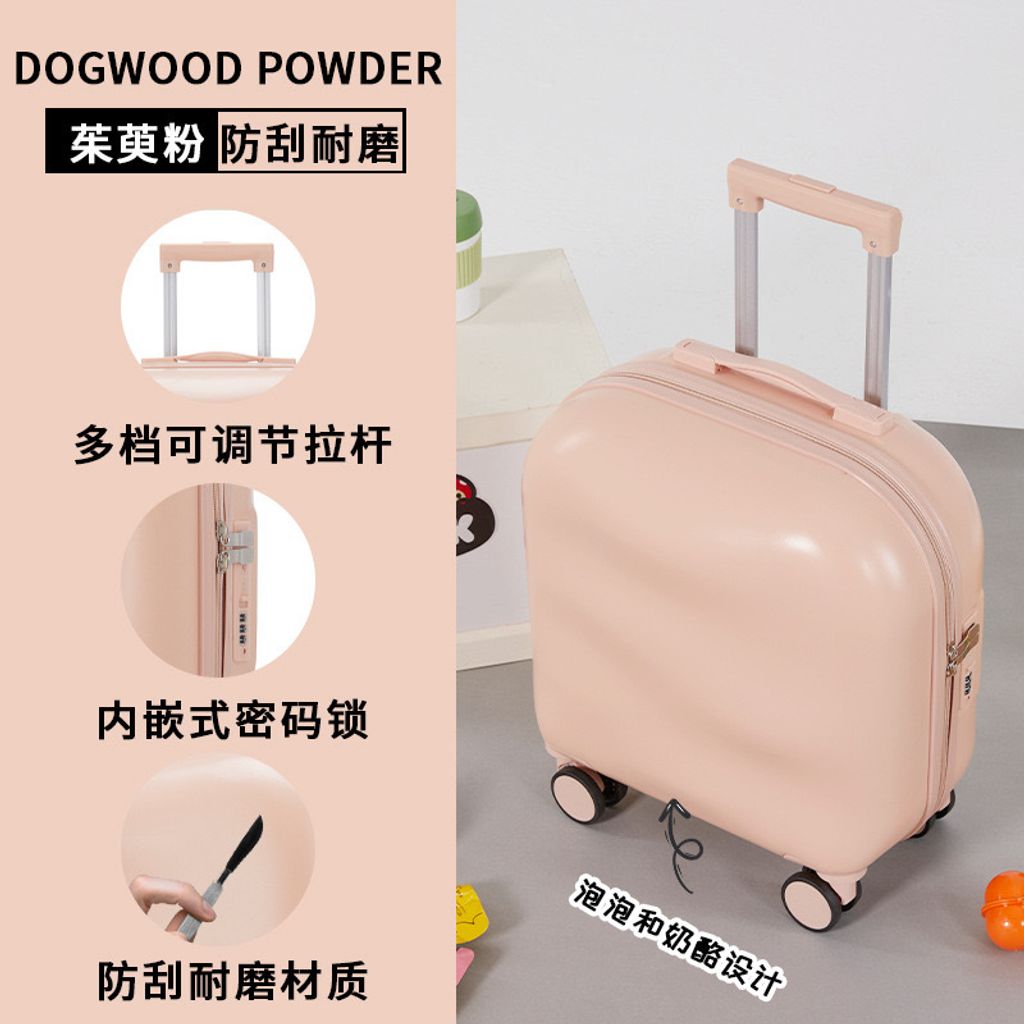 IMG_1066-1706123463547