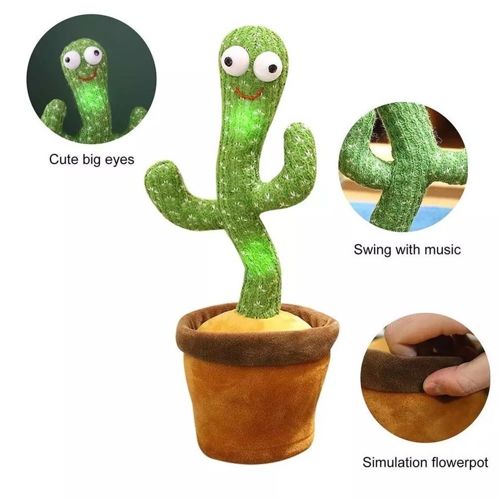 IMG_0806-1706124059332