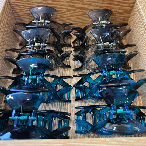 IMG_1719-1706272582921