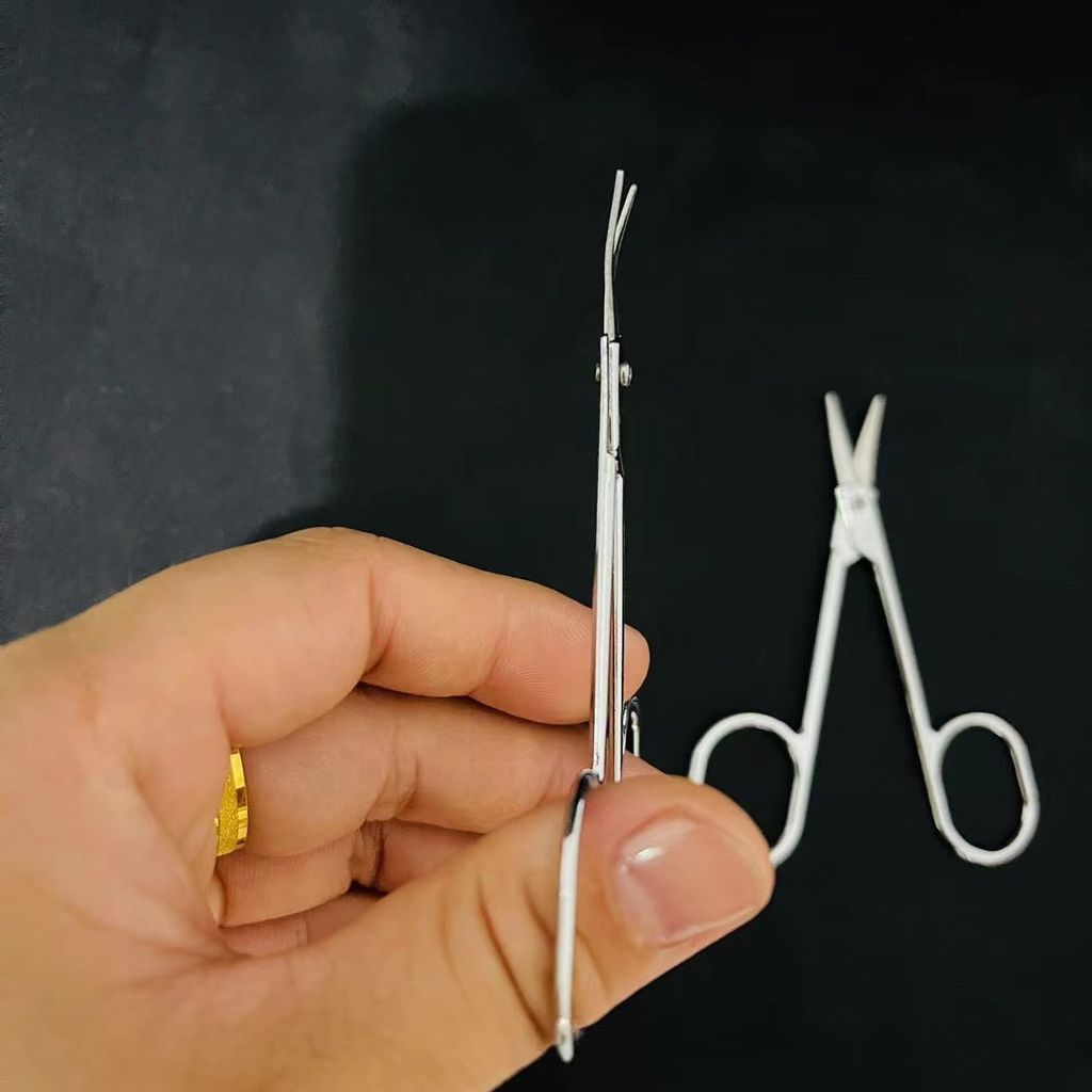 IMG_1625-1706275204347