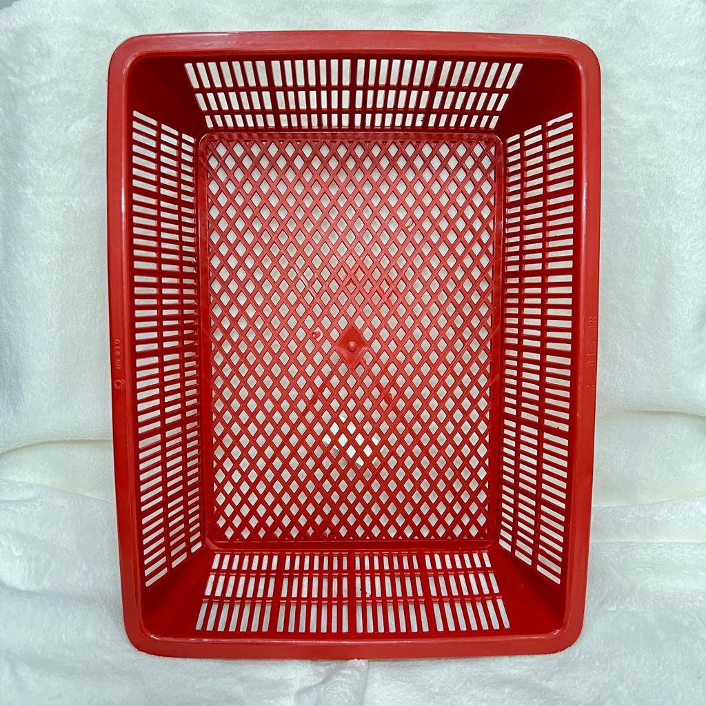 IMG_3540-1709494861272