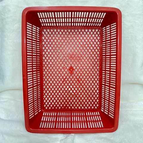 IMG_3540-1709494861272