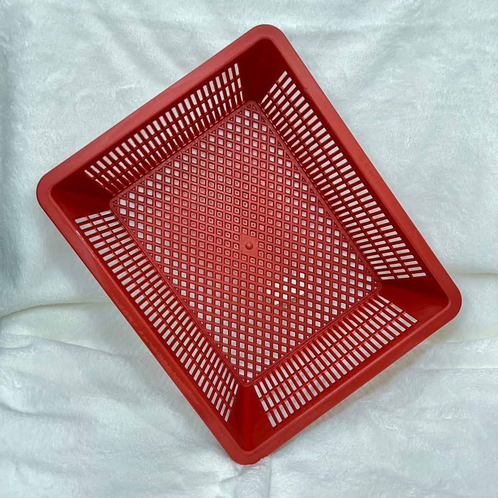 IMG_3539-1709494877003