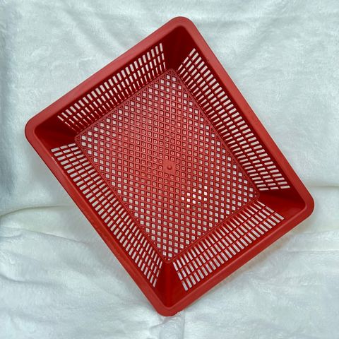 IMG_3539-1709494877003