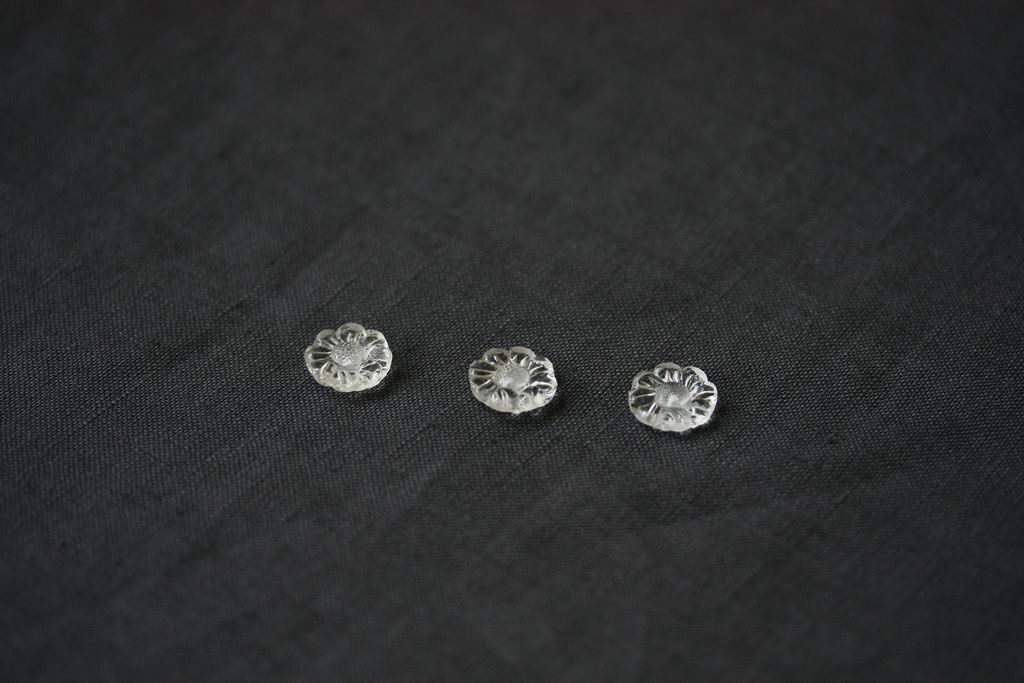 IMG_1985-1735837891686