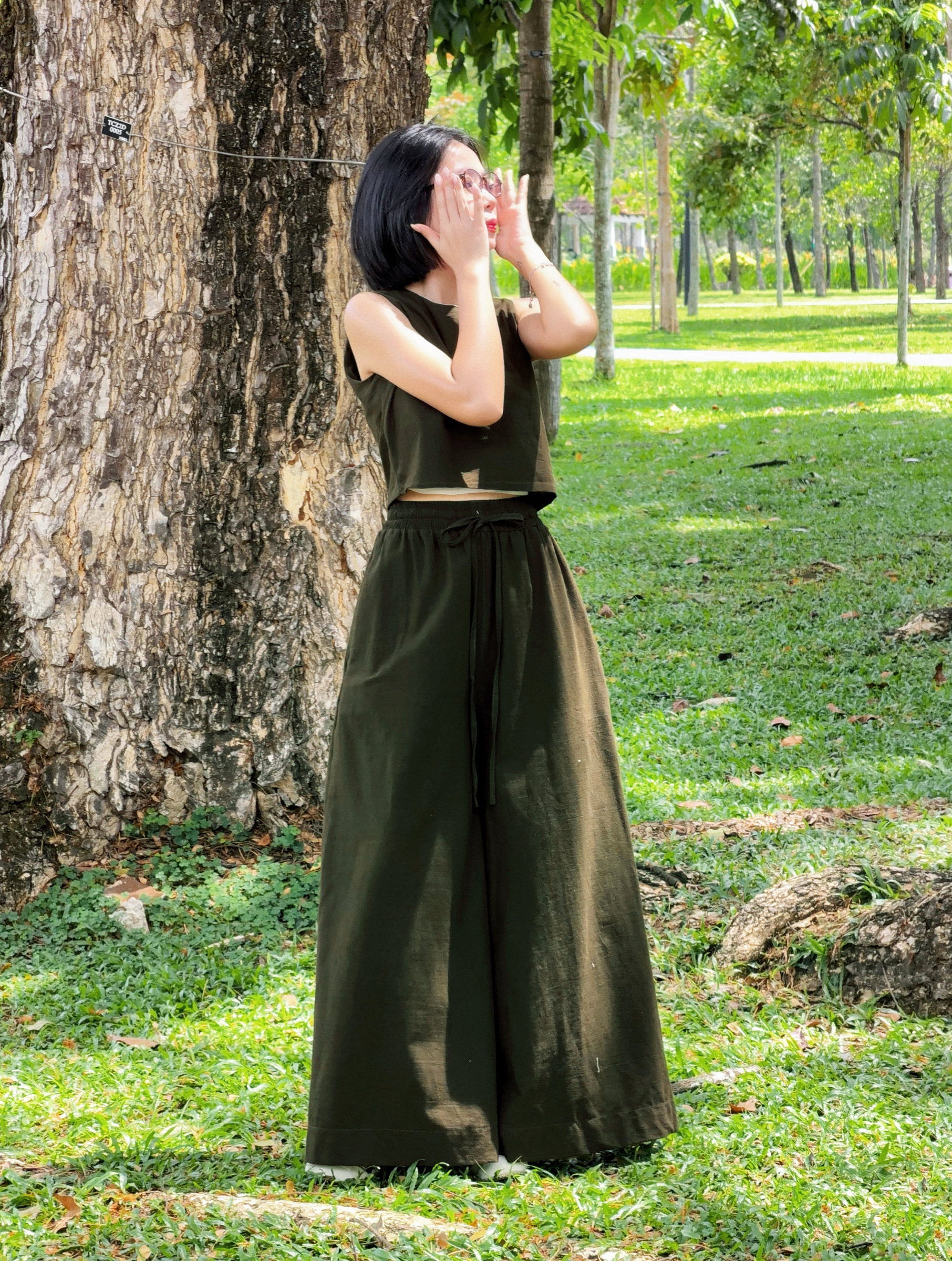 Himawari-website-oliveset-7