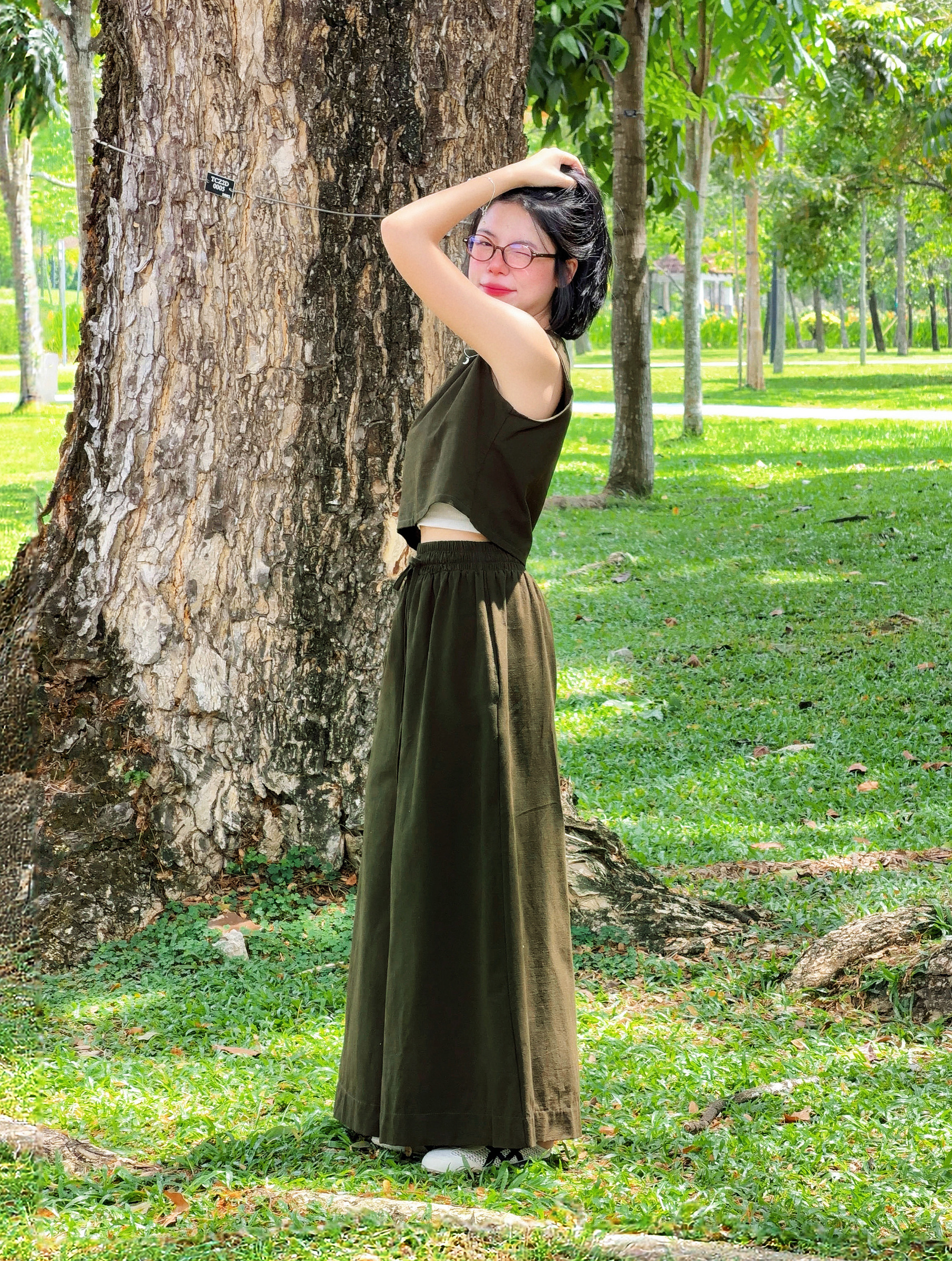 Himawari-website-oliveset-8