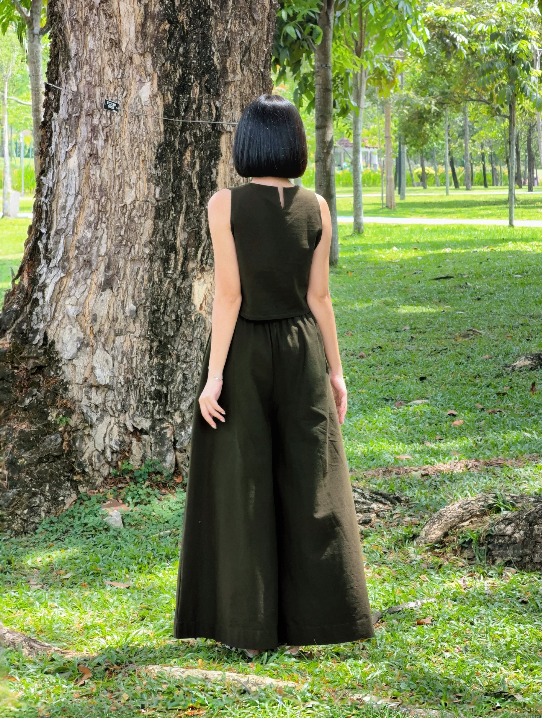 Himawari-website-oliveset-5