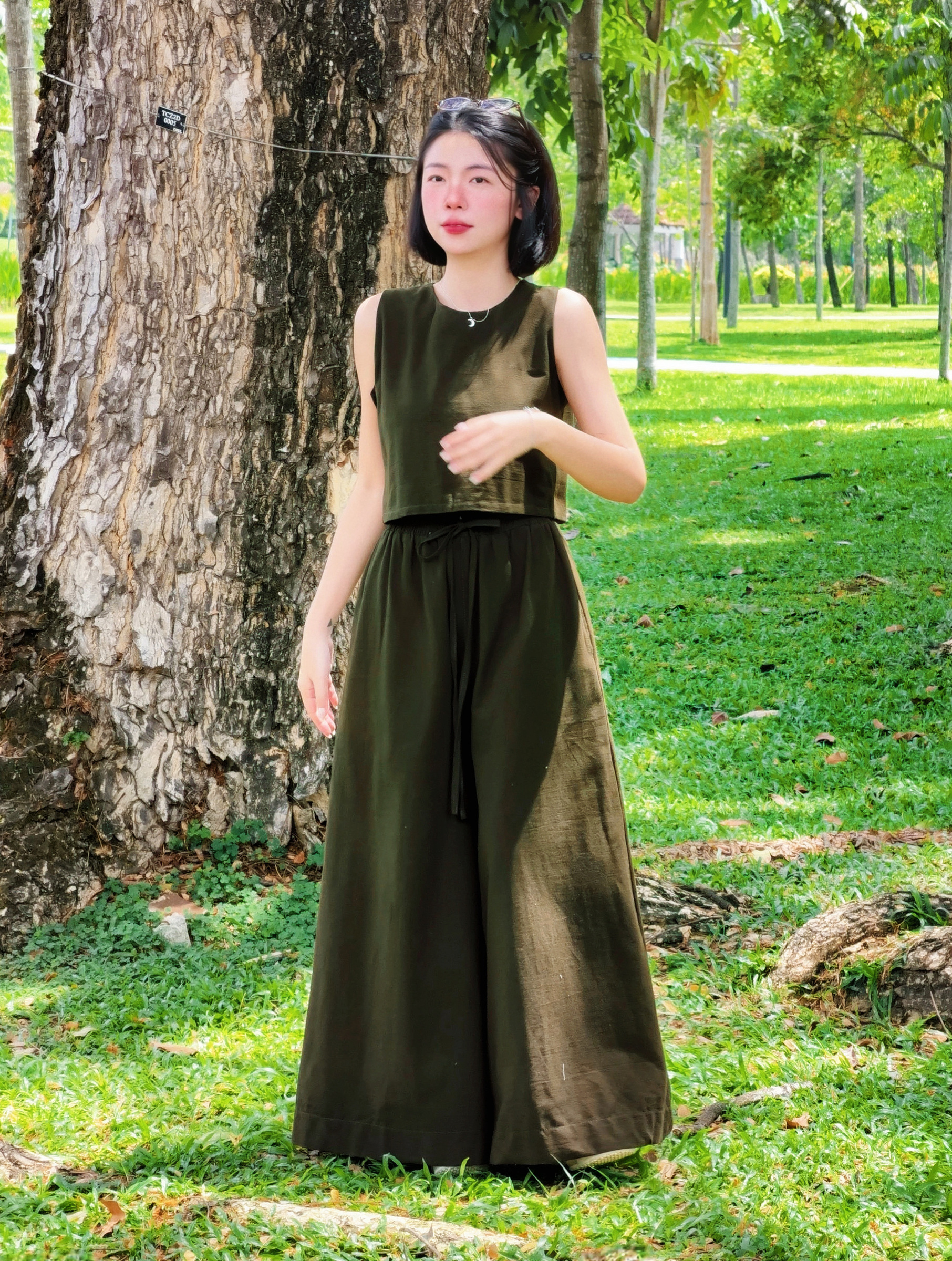 Himawari-website-oliveset-12