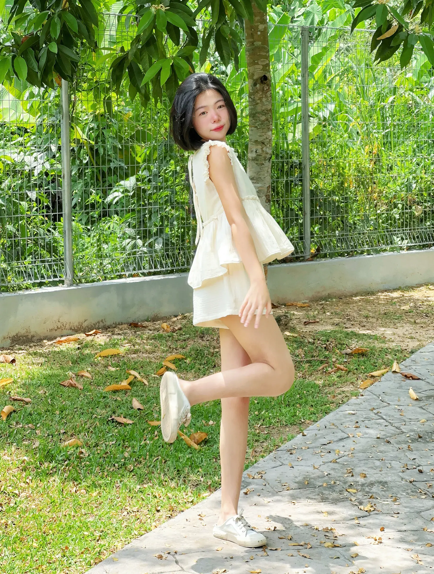 葵-website-seara-2