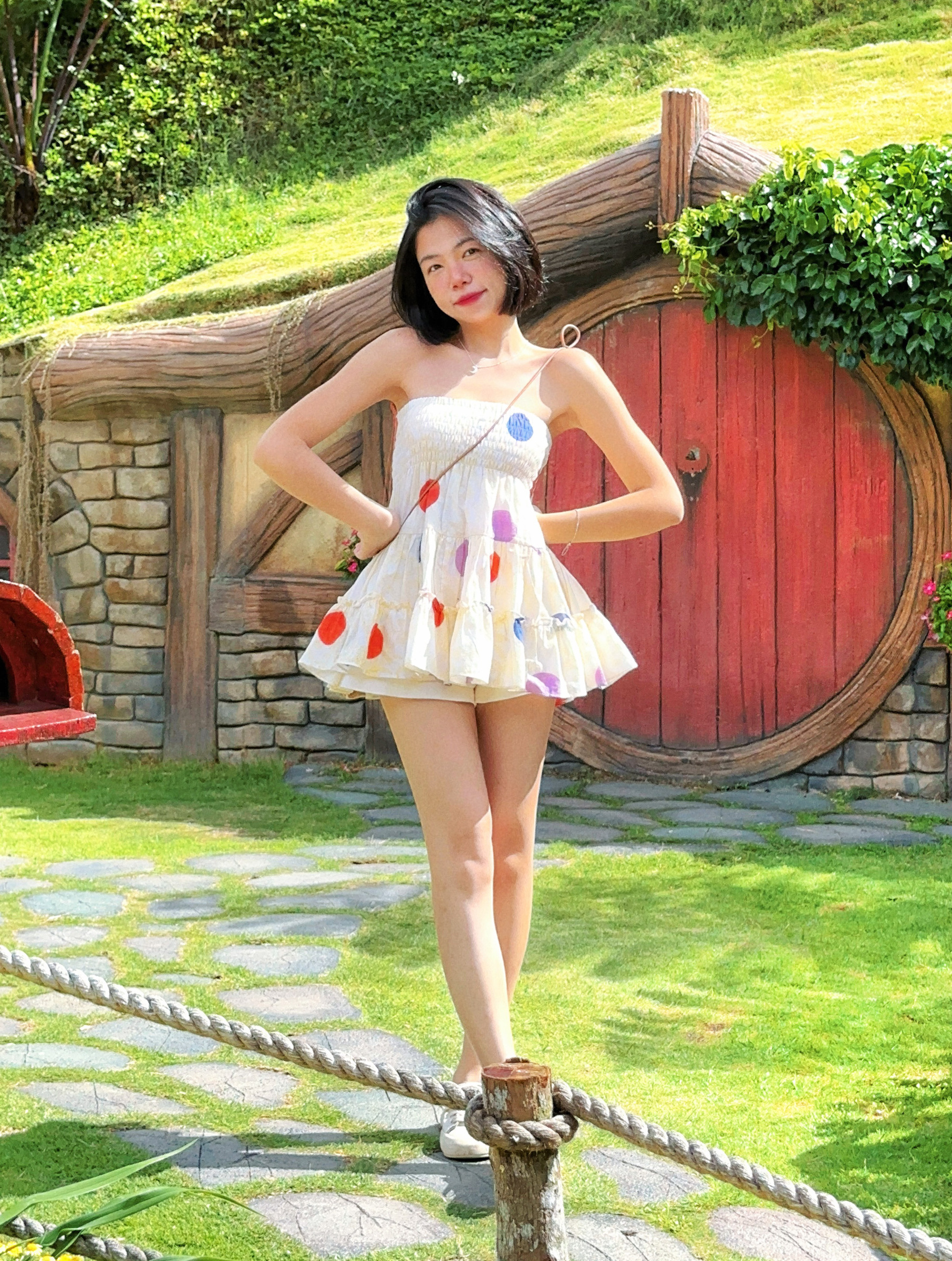 Himawari-website-colourdots-1